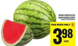 Food Basics MINI SEEDLESS WATERMELONS offer