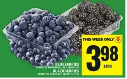 Food Basics BLUEBERRIES offer