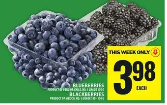 Food Basics BLUEBERRIES offer