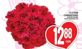 Food Basics 15 STEM CARNATIONS offer