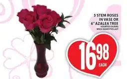 Food Basics 5 STEM ROSES IN VASE OR 6 AZALEA TREE offer