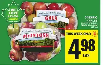 Food Basics ONTARIO APPLES offer