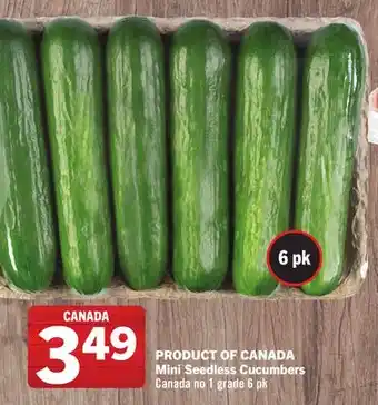 Foodland Mini Seedless Cucumbers offer