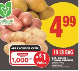 No Frills 10 LB BAG RED, RUSSET or YELLOW POTATOES, 10 LB BAG offer