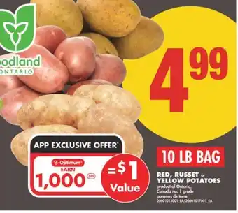 No Frills 10 LB BAG RED, RUSSET or YELLOW POTATOES, 10 LB BAG offer