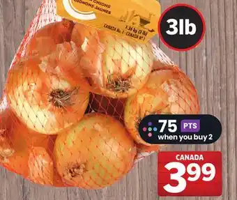 Foodland Onions offer