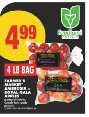 No Frills FARMER'S MARKET AMBROSIA or ROYAL GALA APPLES, 4 LB BAG offer