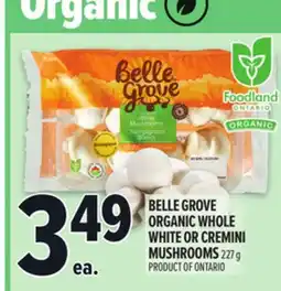 Metro BELLE GROVE ORGANIC WHOLE WHITE OR CREMINI MUSHROOMS offer