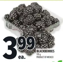 Metro BLACKBERRIES offer