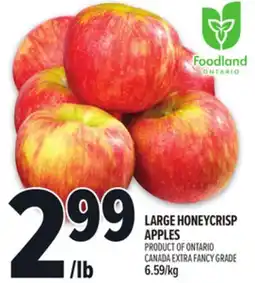 Metro LARGE HONEYCRISP APPLES offer