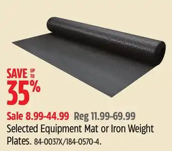 Canadian Tire Selected Equipment Mat or Iron Weight Plates offer