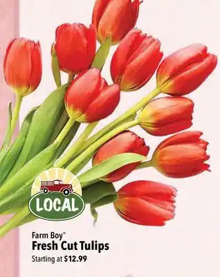 Farm Boy Farm Boy Fresh Cut Tulips offer