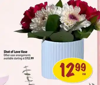 Farm Boy Shot of Love Vase offer