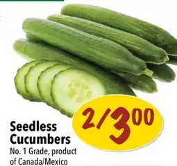 Farm Boy Seedless Cucumbers offer