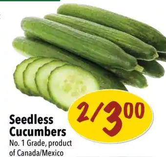 Farm Boy Seedless Cucumbers offer