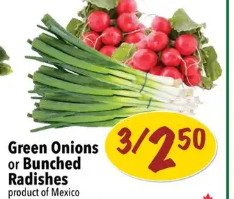 Farm Boy Green Onions or Bunched Radishes offer