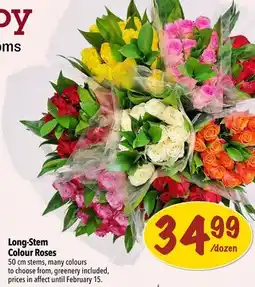 Farm Boy Long-Stem Colour Roses offer