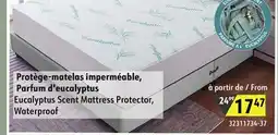 Hart Eucalyptus Scent Mattress Protector, Waterproof offer