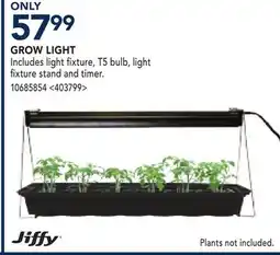 RONA GROW LIGHT offer