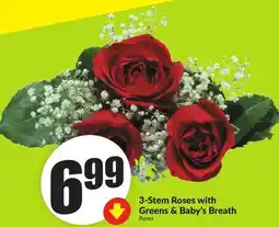 FreshCo 3-Stem Rose with Greens & Baby's Breath offer