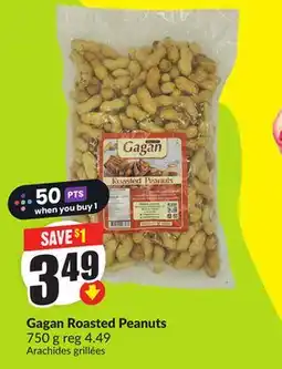 FreshCo Gagan Roasted Peanuts 750 g offer