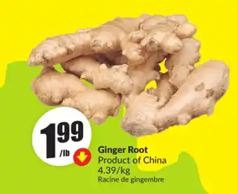 FreshCo Ginger Root Product of China 4.39/kg offer