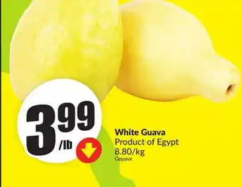 FreshCo White Guava Product of Egypt 8.80/kg offer