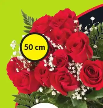 FreshCo 50 cm Dozen Long Stem Roses with Greens & Baby's Breath offer