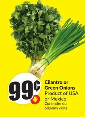 FreshCo Cilantro or Green Onions Product of USA or Mexico offer