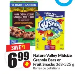 FreshCo Nature Valley Midsize Granola Bars or Fruit Snacks 368-525 g offer