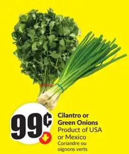 Chalo FreshCo Cilantro or Green Onions Product of USA or Mexico offer