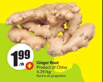 Chalo FreshCo Ginger Root Product of China offer