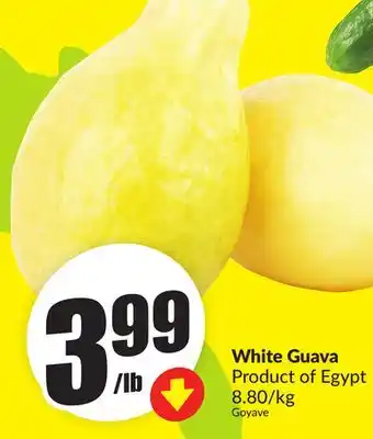 Chalo FreshCo White Guava Product of Egypt 8.80/kg offer