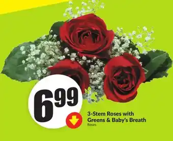 Chalo FreshCo 3-Stem Roses with Greens & Baby's Breath Roses offer