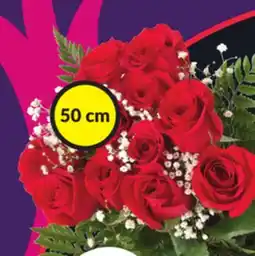 Chalo FreshCo 50 cm Dozen Long Stem Roses with Greens & Baby's Breath offer