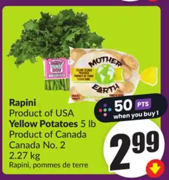 Chalo FreshCo Rapini Product of USA Yellow Potatoes 5 lb Product of Canada Canada No. 2 2.27 kg offer