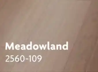 Home Hardware 6 x 48 Expresso Plus Vinyl Plank Flooring - Meadowland offer