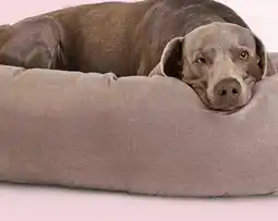 Petvalu Bailey & Bella Pet Beds offer