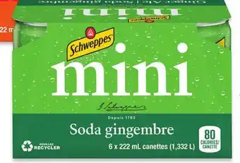 Walmart Schweppes Ginger Ale offer