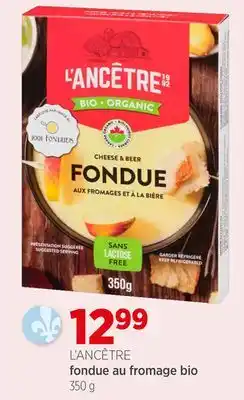 Avril fondue au fromage bio offer