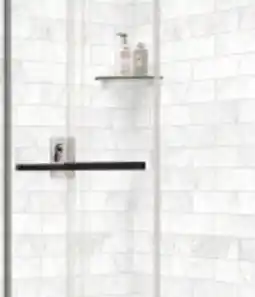 RONA MAAX Duel Shower Kit Door 48 offer