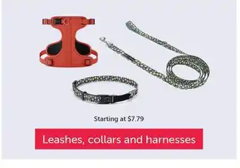 Mondou Leashes, collars and harnesses offer