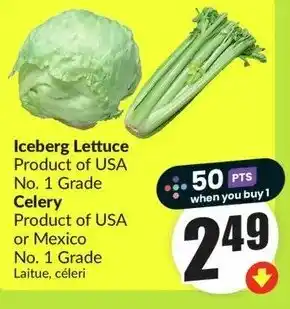 FreshCo Iceberg Lettuce Celery offer