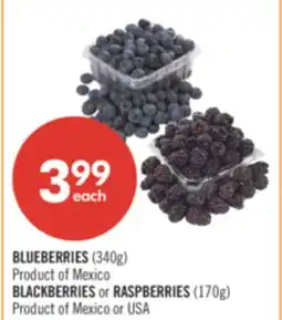 Shoppers Drug Mart BLUEBERRIES (340g) or BLACKBERRIES or RASPBERRIES (170g) offer