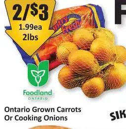 Starsky Ontario Grown Carrots Or Cooking Onions offer