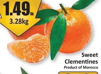 Starsky Sweet Clementines offer