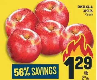 Marché Adonis ROYAL GALA APPLES offer