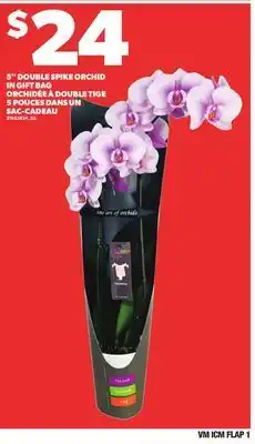 Independent City Market 5 DOUBLE SPIKE ORCHID IN GIFT BAG offer