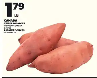 Independent City Market SWEET POTATOES offer