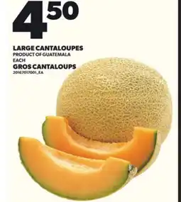 Independent City Market LARGE CANTALOUPES offer